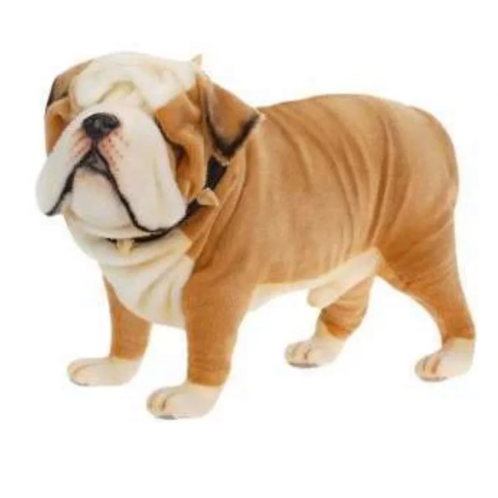 Odin Parker Bulldog - Picture 3 of 7